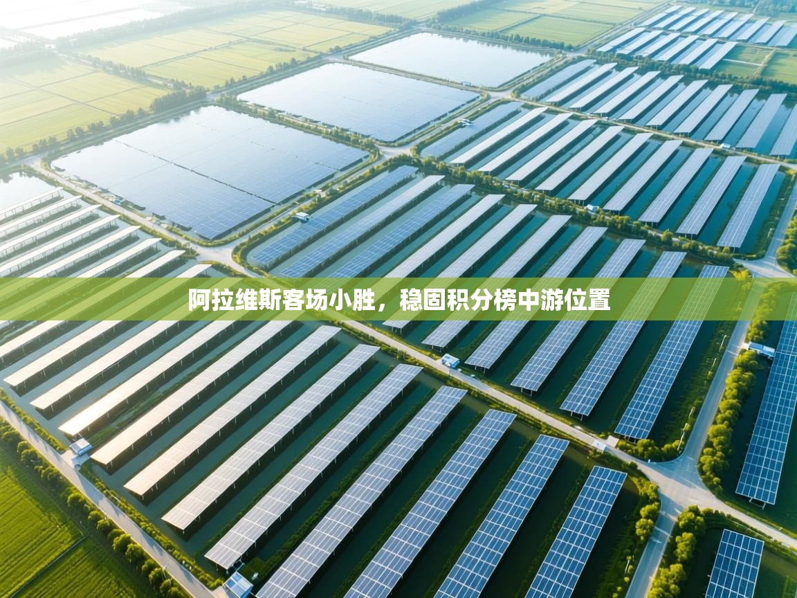 阿拉维斯客场小胜，稳固积分榜中游位置  第1张