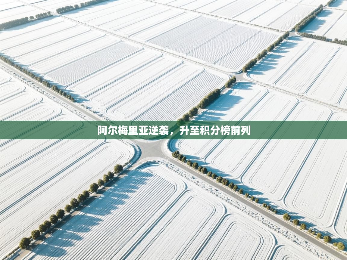 阿尔梅里亚逆袭,升至积分榜前列 第1张