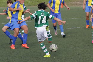 半岛体育官网入口下载-热刺主场3:1逆转布莱顿，重返前四区，热刺主场3:1逆转布莱顿,重返前四区比赛