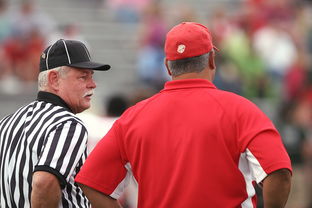 半岛体育官网入口-湖北莱源获得首秀胜利，球员信心倍增